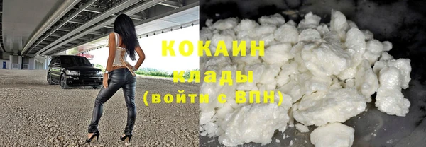шишки Вязьма